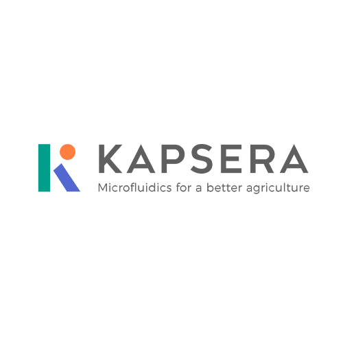 Kaspera