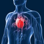 A new research project for the management of heart failure