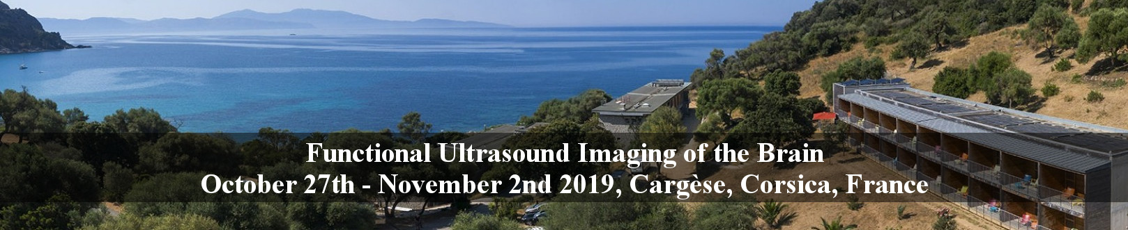 fUSbrain2019: International workshop on Functional Ultrasound Imaging of the Brain fUSbrain2019: International workshop on Functional Ultrasound Imaging of the Brain