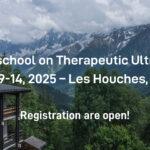 2025 Winter school on Therapeutic Ultrasound