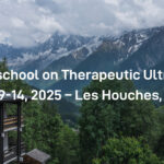 2025 Winter school on Therapeutic Ultrasound