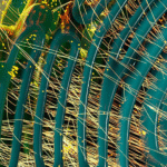 Remote activation of cell signaling using ultrasound featured on the cover of Nature Biomedical Engineering