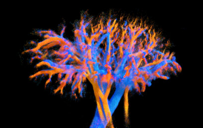 Major breakthrough in medical imaging just published in Nature Communications Major breakthrough in medical imaging just published in Nature Communications