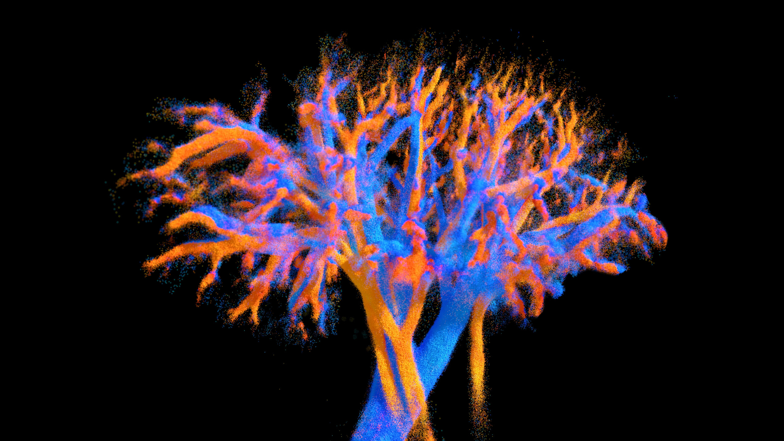 Major breakthrough in medical imaging just published in Nature Communications Major breakthrough in medical imaging just published in Nature Communications