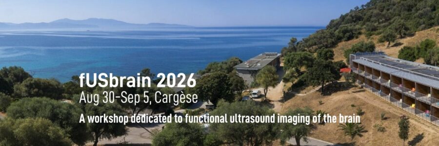 fUSbrain2026_banner