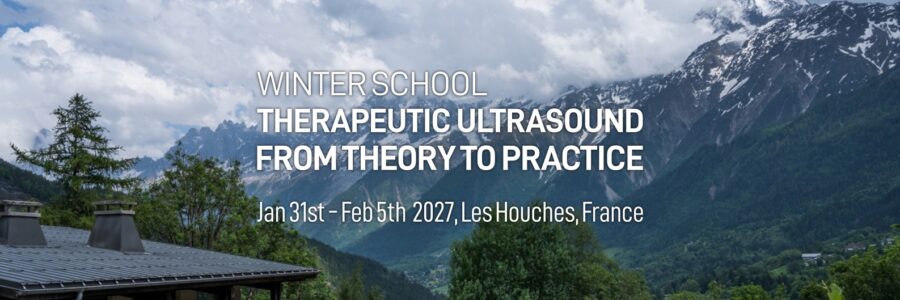 2027 Winter School on Therapeutic Ultrasound