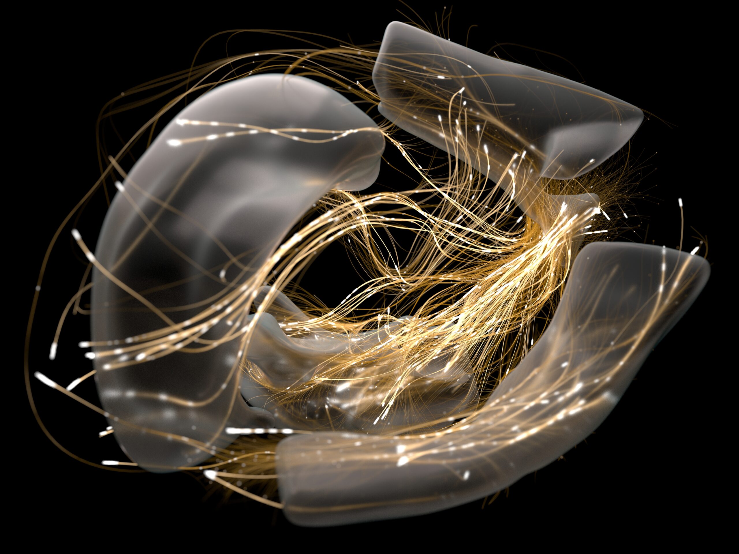 How does the brain adapt as neuropathic pain develops? How does the brain adapt as neuropathic pain develops?